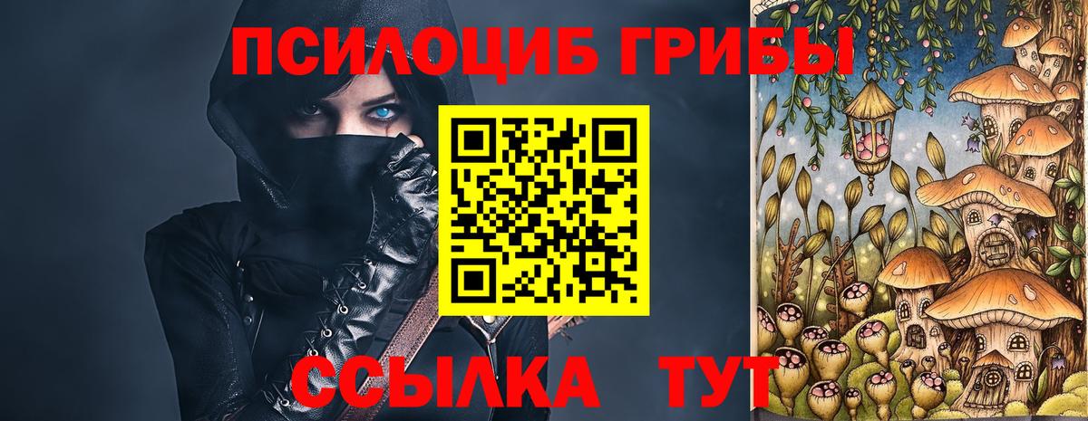 Галлюциногенные грибы прущие грибы Александров